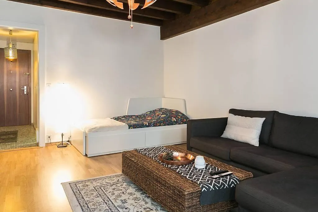 Magnifique Studio En Plein Centre De Geneve Schweiz